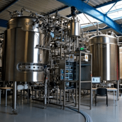 Screenshot 2023 05 23 2.59.49 PM 247x247 - The Importance of GMP in Successful Fermentation Processes