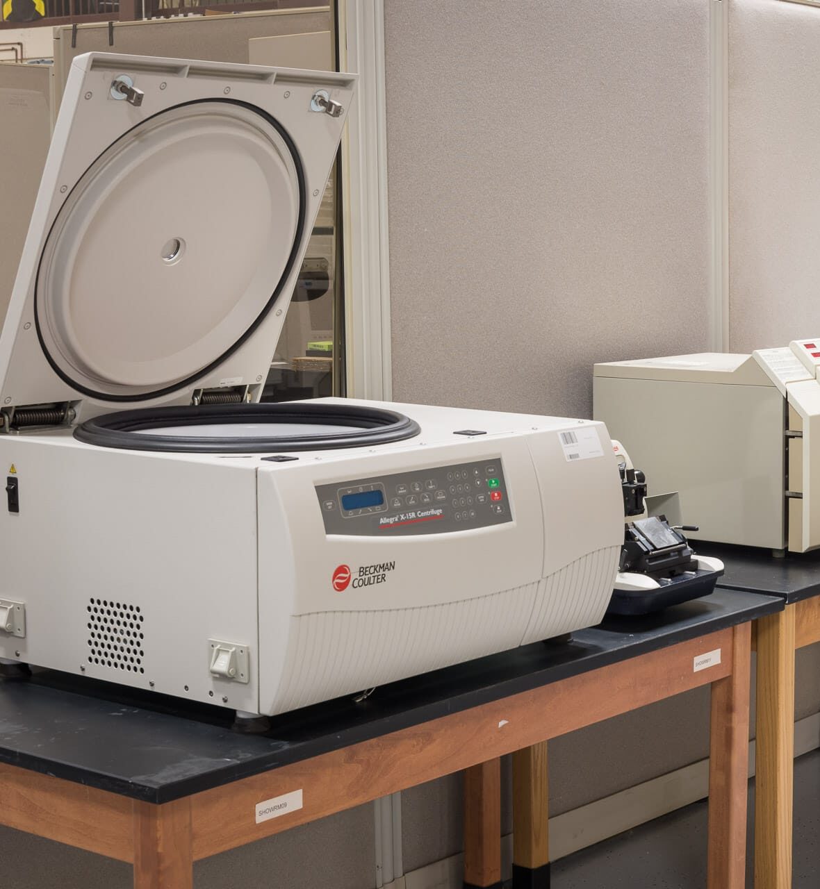 GMI20181120Web 6 e1706299193879 - Corporate